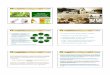 Projeto ferro verde (6 slides por página)