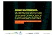 Congresso Crimes Eletrônicos, 08/03/2009 -  Apresentação Coriolano Aurélio Santos