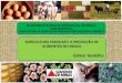 Enfisa 2014 - Agricultura Familiar e a Produção de Alimentos no Brasil