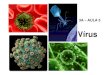 Vírus, procariontes, eucariontes e revestimentos celulares