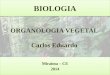 Organologia Vegetal - Carlos Eduardo