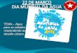 Dia mundial da Água 2011: Água para as cidades: responder ao desafio urbano