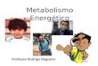 Metabolismos Energético