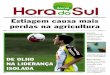 Jornal Hora do Sul 29-05-2012