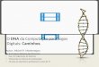 O DNA da computação para jogos digitais: Caminhos