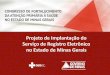 Projeto de Implantação do Serviço de Registro Eletrônico no Estado de Minas Gerais