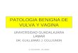 patologia benigna-maligna vulva y vagina