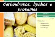 II. 2 Carboidratos e lipídios