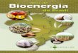 Atlas de bioenergia   cenbio