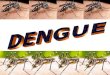 Slides sobre dengue para eproinfo atual