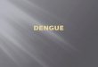 Seminrio Dengue