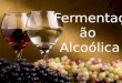 Biotecnologia Fermenta§£o alcoolica