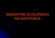 Desastre ecológico na austrália