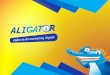 ALIGATOR - Agência de Marketing Digital