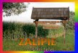 Conheça Zalipie, Polônia