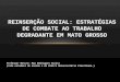 Reinserção Social: estratégias de combate ao trabalho degradante em Mato Grosso
