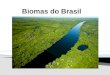 Ecossistemas brasileiros