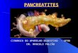 Pancreatites 