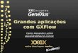 0123 grandes aplicaciones_con_gx_flow