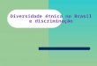Diversidade éTnica No Brasil E DiscriminaçãO Amanda Susan