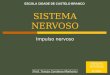 03 Sn Impulso Nervoso Tc 0809