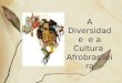 A diversidade e a cultura afrobrasileira