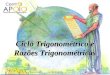 Ciclo trigonométrico e razões trigonométricas