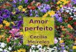 Amor perfeito - Cecília Meireles