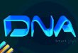Dna Smart Style