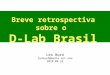 Breve retrospectiva sobre o D-Lab Brasil