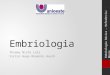 Embriologia - 4 semana ao nascimento!