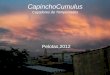 Capincho cumulus