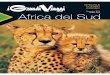 Catalogo Africa del Sud Inverno 2014-15
