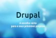 Drupal   a escolha certa para o seus próximos projetos