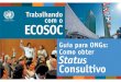 Portuguese ESOSOC NGOs Guide to Consultative Status