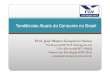 Tendencias atuais do consumo no brasil - Prof. José Mauro Gonçalves Nunes 24-5-12