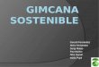Gincama sostenible