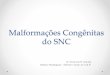 Malformações congênitas do SNC - Avaliação por Imagem