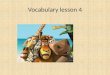 Vocabulary lesson 4
