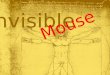 Invisible mouse