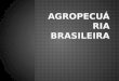 Agropecuria brasileira