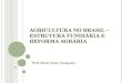 Agricultura brasileira - Estrutura Fundiaria e Reforma Agrária