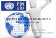 PNUD - Programa das Nações Unidas para o Desenvolvimento