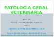 Patologia Geral: Aula 04 2009 - Alterações Cadavéricas