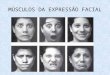 Musculos da-expressao-facial
