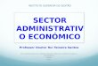 Sector Administrativo Económico, Professor Doutor Rui Teixeira Santos, ISG (Lisboa 2013)