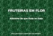 J O S    Fruteiras Em Flor  Mar Mun Abr09