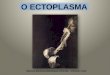 08   o ectoplasma