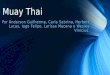 Educa§£o F­sica  - Muay Thai