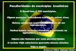 Peculiaridades de munic­pios brasileiros